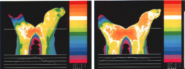 Bei Durchblutungsstörungen